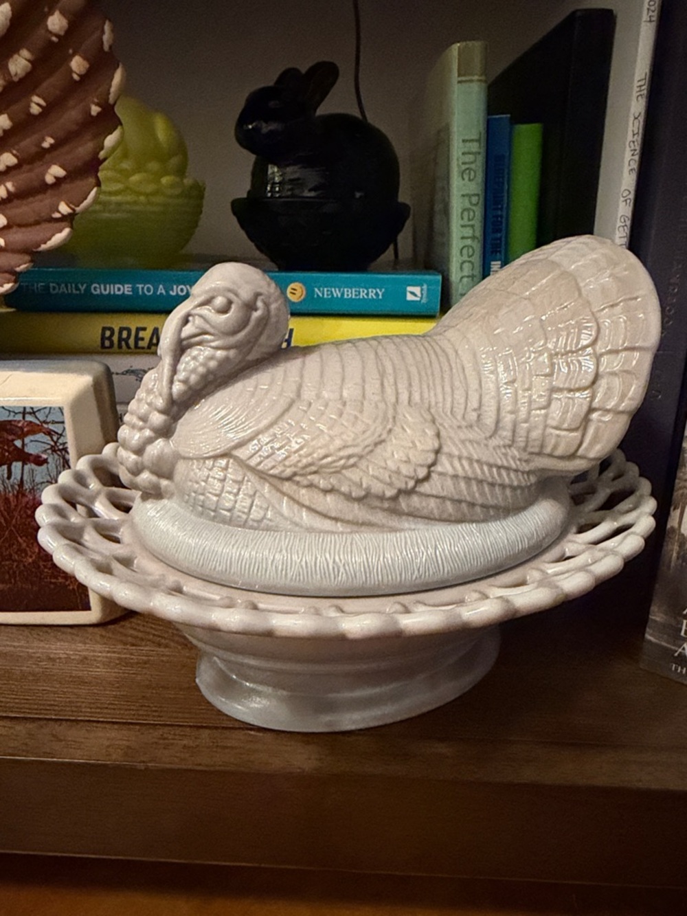 Mosser Slag Gray Turkey on Nest